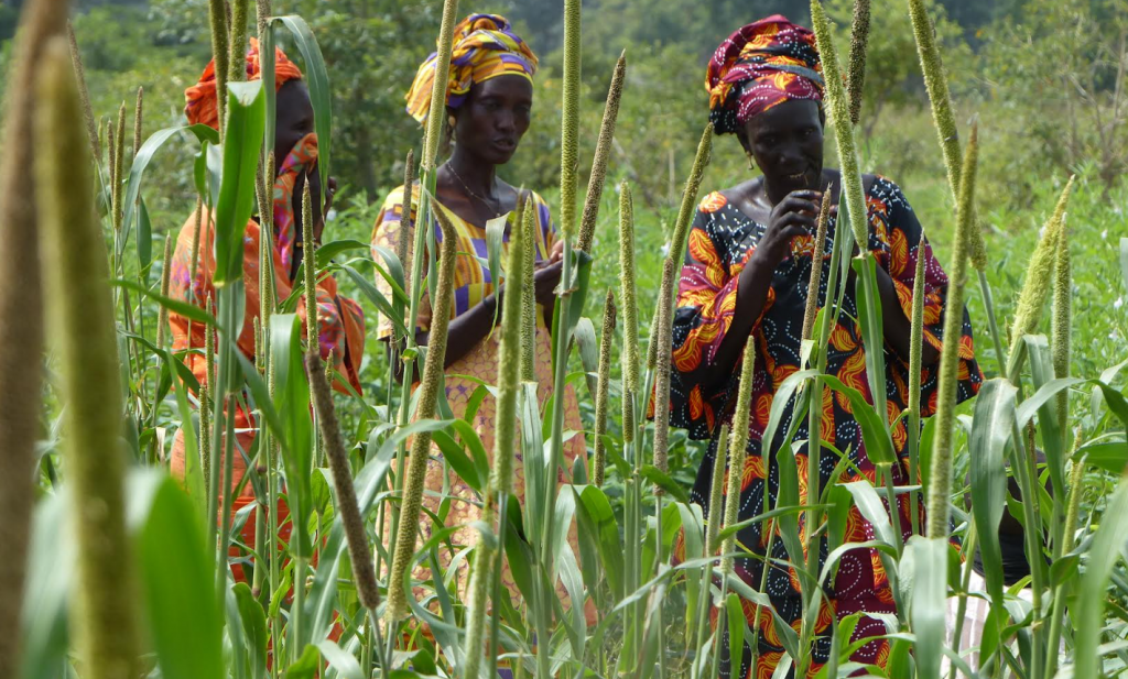 Food Security: Women Inclusion Matters