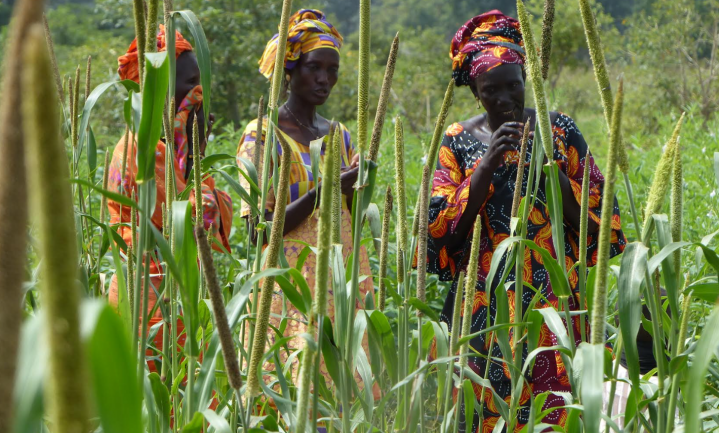Food Security: Women Inclusion Matters