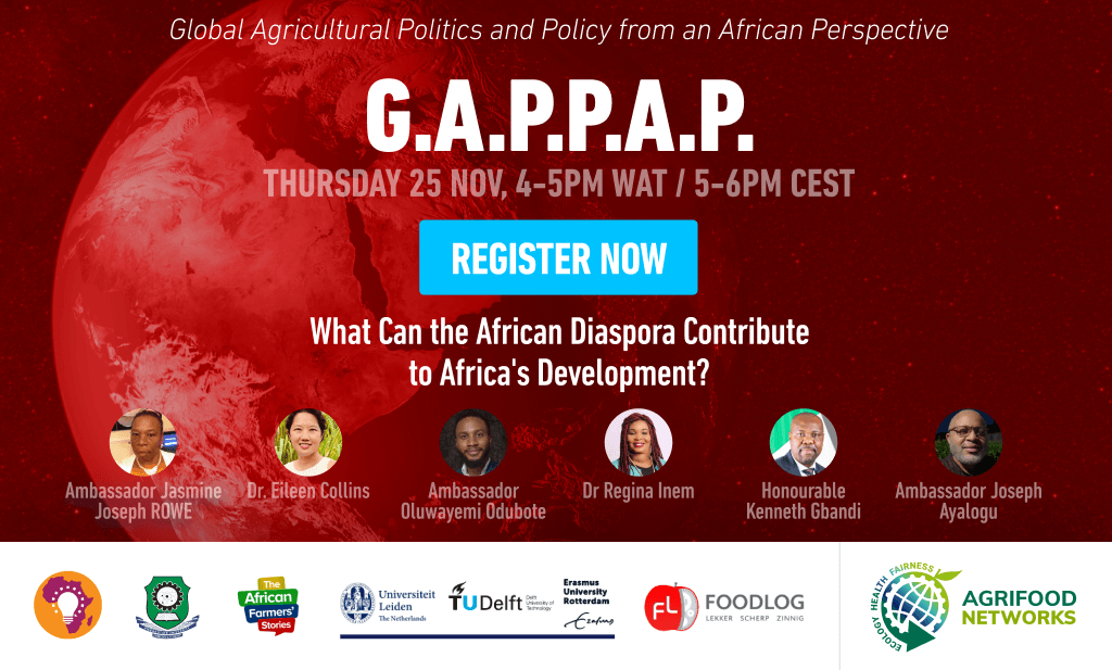 What Can the African Diaspora Contribute to Africa’s Development?