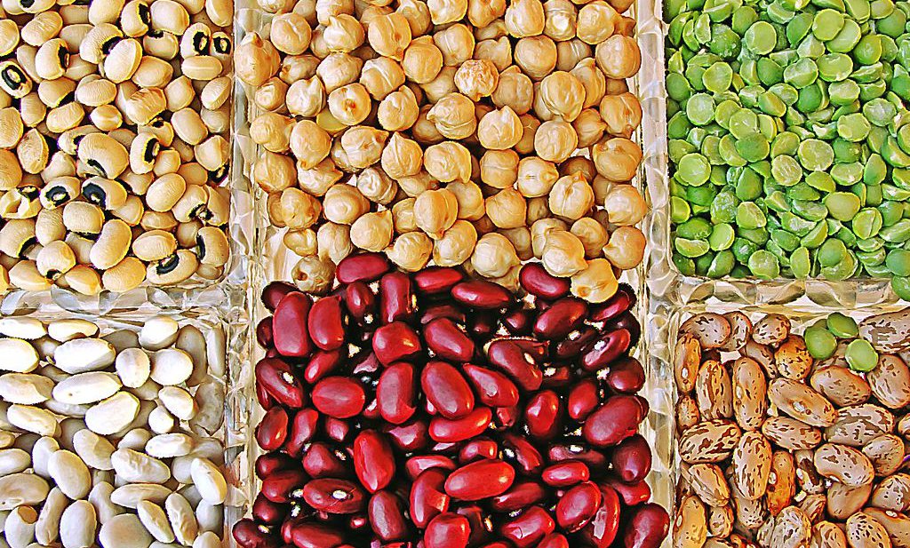 Seeds of Change: Opportunities for Improved Crop Genetic Diversity