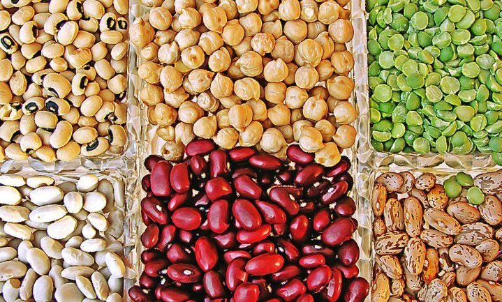 Seeds of Change: Opportunities for Improved Crop Genetic Diversity
