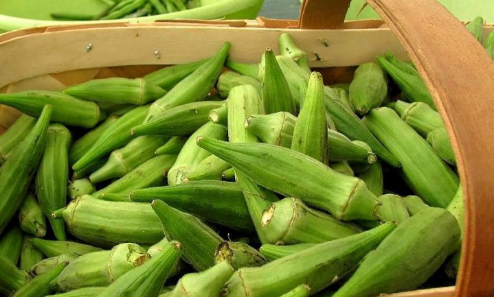 Tropical Crops advancing Sustainable Agriculture for Development: A case of Okra
