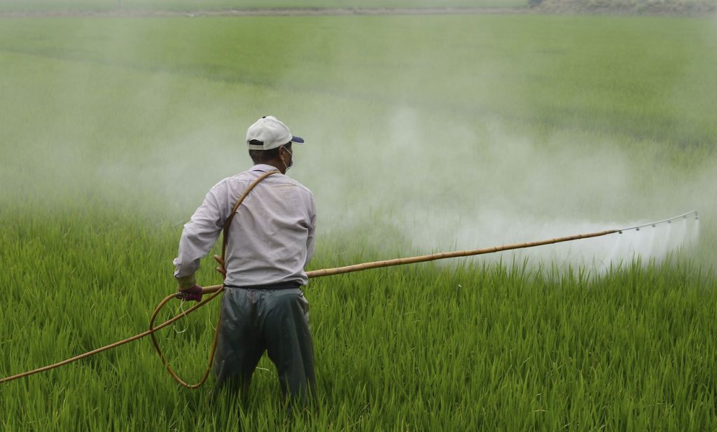 Pesticides Usage: Healthy Practises For Sustainable Production