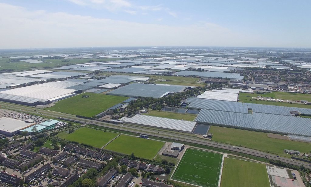 Is Dutch horticulture COVID proof in the long run?